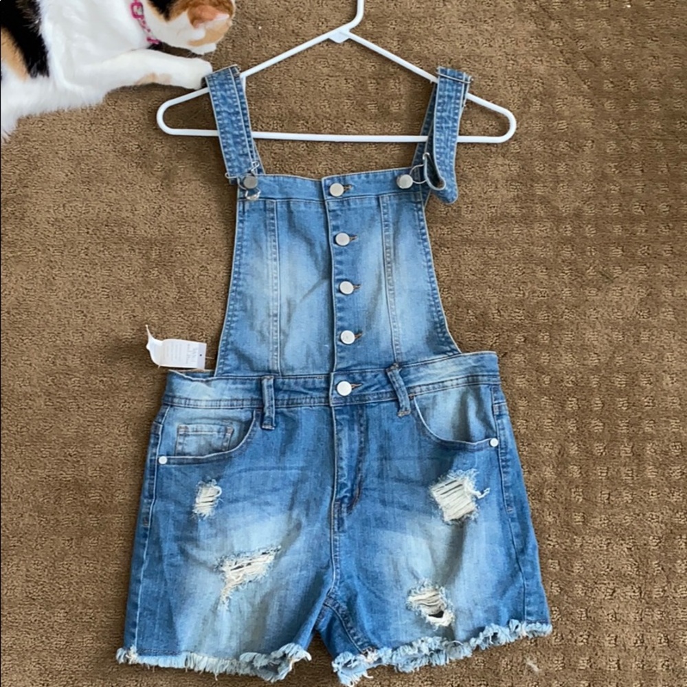Francesca’s shorts overalls